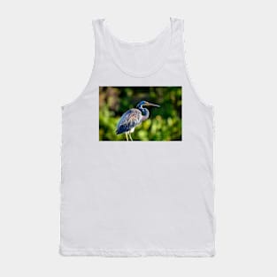 Tricolored Heron Tank Top